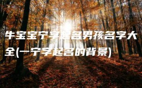 牛宝宝宁字起名男孩名字大全(一宁字起名的背景)