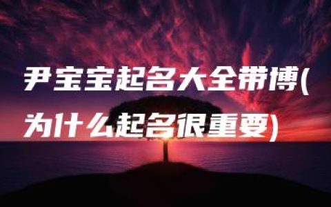 尹宝宝起名大全带博(为什么起名很重要)