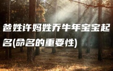 爸姓许妈姓乔牛年宝宝起名(命名的重要性)