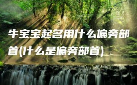 牛宝宝起名用什么偏旁部首(什么是偏旁部首)