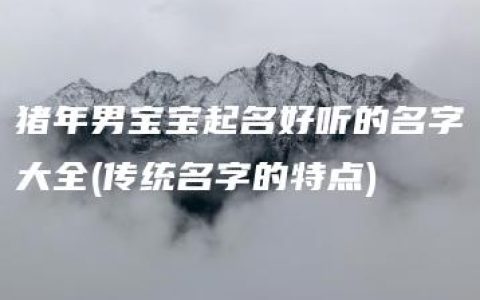 猪年男宝宝起名好听的名字大全(传统名字的特点)