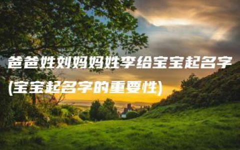 爸爸姓刘妈妈姓李给宝宝起名字(宝宝起名字的重要性)