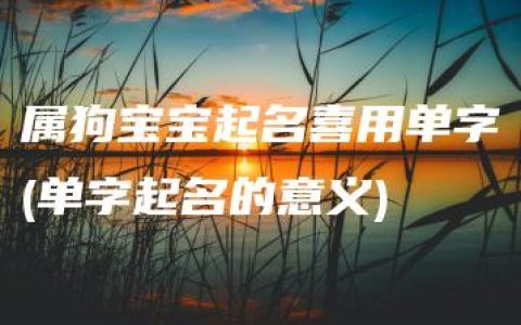 属狗宝宝起名喜用单字(单字起名的意义)