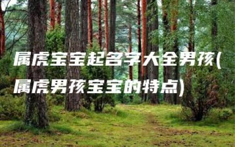 属虎宝宝起名字大全男孩(属虎男孩宝宝的特点)