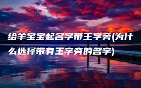 给羊宝宝起名字带王字旁(为什么选择带有王字旁的名字)