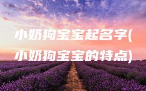 小奶狗宝宝起名字(小奶狗宝宝的特点)