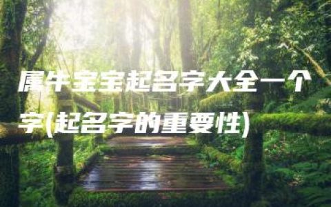 属牛宝宝起名字大全一个字(起名字的重要性)