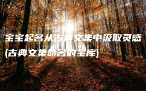 宝宝起名从古典文集中汲取灵感(古典文集命名的宝库)