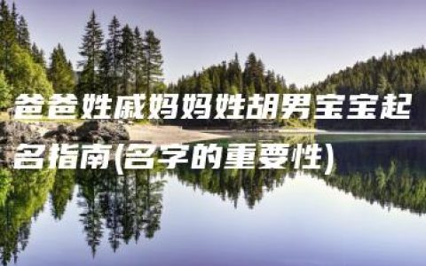 爸爸姓戚妈妈姓胡男宝宝起名指南(名字的重要性)