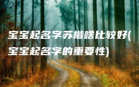 宝宝起名字苏楷啥比较好(宝宝起名字的重要性)