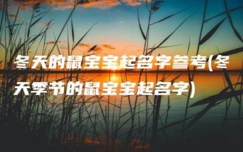 冬天的鼠宝宝起名字参考(冬天季节的鼠宝宝起名字)