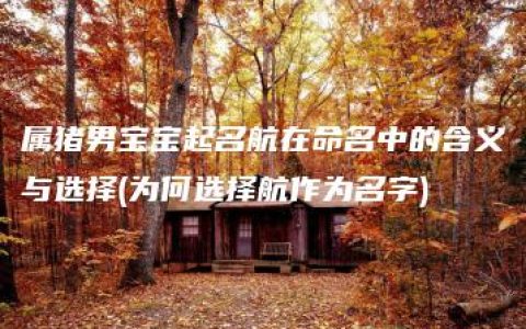 属猪男宝宝起名航在命名中的含义与选择(为何选择航作为名字)