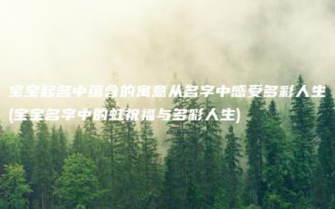 宝宝起名中蕴含的寓意从名字中感受多彩人生(宝宝名字中的虹祝福与多彩人生)