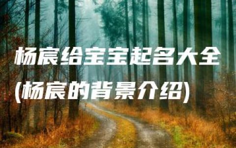 杨宸给宝宝起名大全(杨宸的背景介绍)