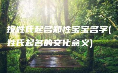 按姓氏起名郑性宝宝名字(姓氏起名的文化意义)