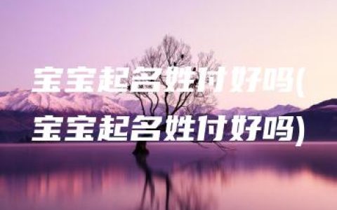 宝宝起名姓付好吗(宝宝起名姓付好吗)