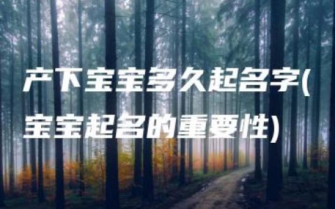 产下宝宝多久起名字(宝宝起名的重要性)