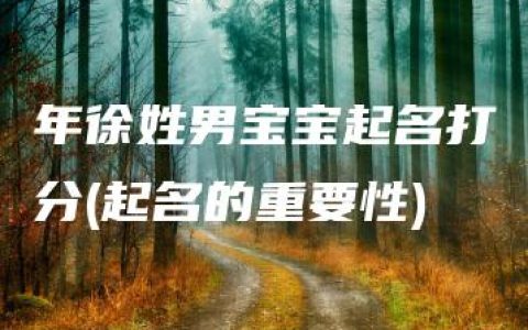 年徐姓男宝宝起名打分(起名的重要性)