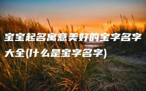 宝宝起名寓意美好的宝字名字大全(什么是宝字名字)