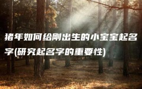 猪年如何给刚出生的小宝宝起名字(研究起名字的重要性)