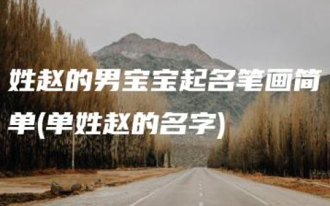 姓赵的男宝宝起名笔画简单(单姓赵的名字)