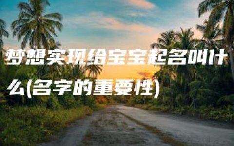 梦想实现给宝宝起名叫什么(名字的重要性)