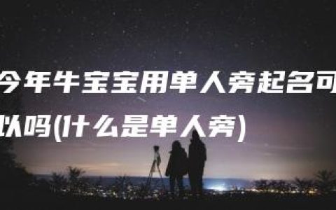 今年牛宝宝用单人旁起名可以吗(什么是单人旁)