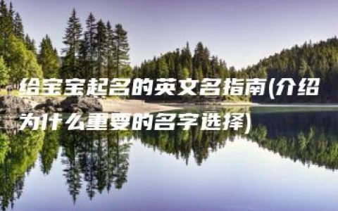 给宝宝起名的英文名指南(介绍为什么重要的名字选择)