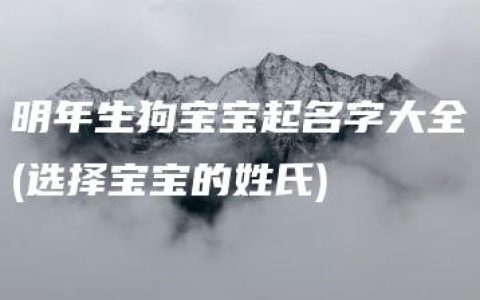 明年生狗宝宝起名字大全(选择宝宝的姓氏)