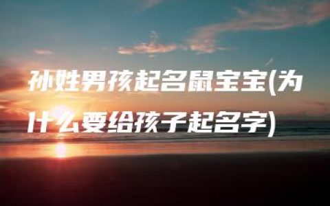 孙姓男孩起名鼠宝宝(为什么要给孩子起名字)