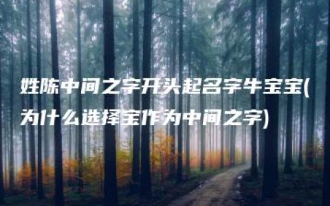 姓陈中间之字开头起名字牛宝宝(为什么选择宝作为中间之字)