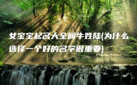 女宝宝起名大全属牛姓陆(为什么选择一个好的名字很重要)