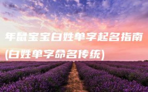 年鼠宝宝白姓单字起名指南(白姓单字命名传统)