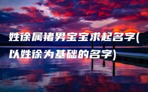 姓徐属猪男宝宝求起名字(以姓徐为基础的名字)