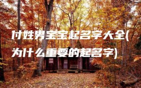 付姓男宝宝起名字大全(为什么重要的起名字)