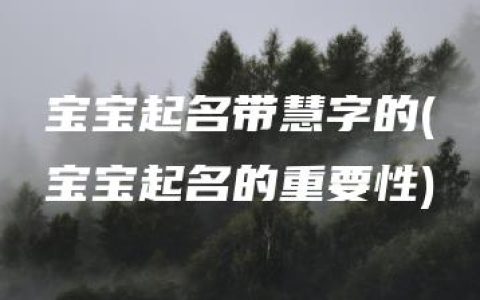 宝宝起名带慧字的(宝宝起名的重要性)