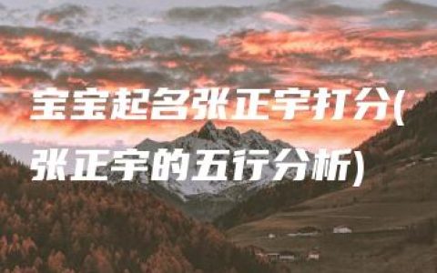 宝宝起名张正宇打分(张正宇的五行分析)