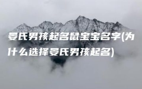 晏氏男孩起名鼠宝宝名字(为什么选择晏氏男孩起名)