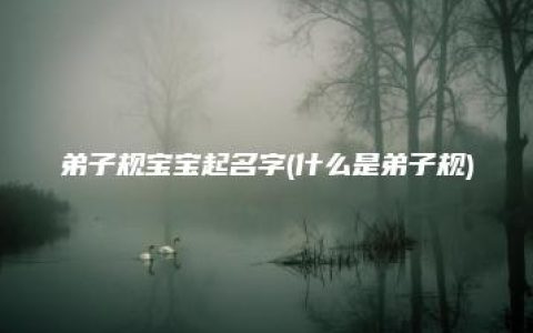 弟子规宝宝起名字(什么是弟子规)