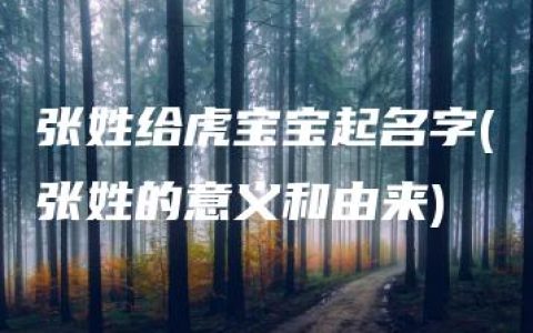 张姓给虎宝宝起名字(张姓的意义和由来)