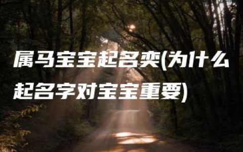 属马宝宝起名奕(为什么起名字对宝宝重要)