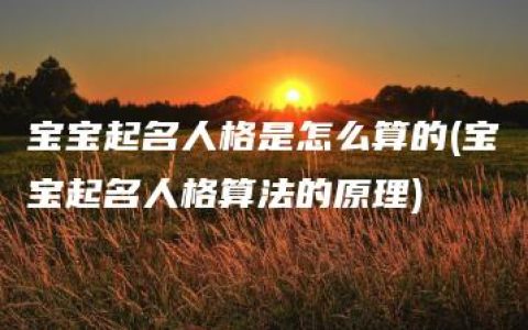 宝宝起名人格是怎么算的(宝宝起名人格算法的原理)