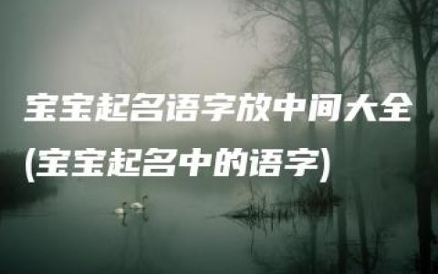 宝宝起名语字放中间大全(宝宝起名中的语字)