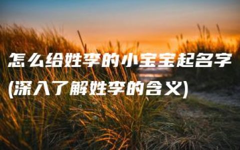 怎么给姓李的小宝宝起名字(深入了解姓李的含义)