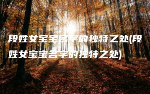 段姓女宝宝名字的独特之处(段姓女宝宝名字的独特之处)