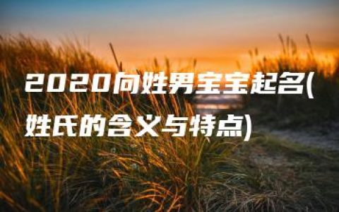 2020向姓男宝宝起名(姓氏的含义与特点)