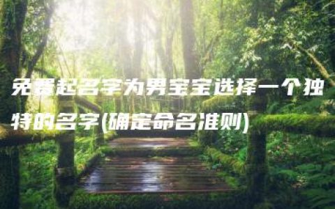 免费起名字为男宝宝选择一个独特的名字(确定命名准则)