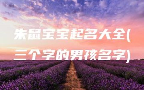 朱鼠宝宝起名大全(三个字的男孩名字)