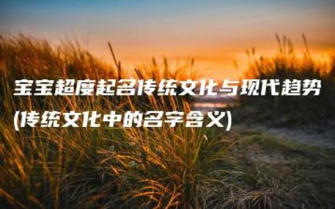 宝宝超度起名传统文化与现代趋势(传统文化中的名字含义)