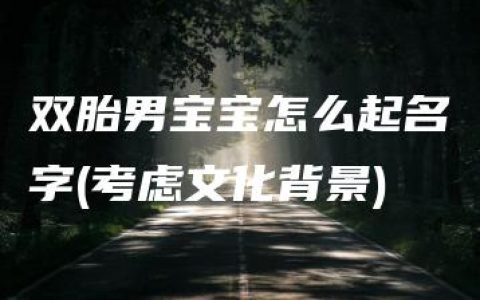 双胎男宝宝怎么起名字(考虑文化背景)